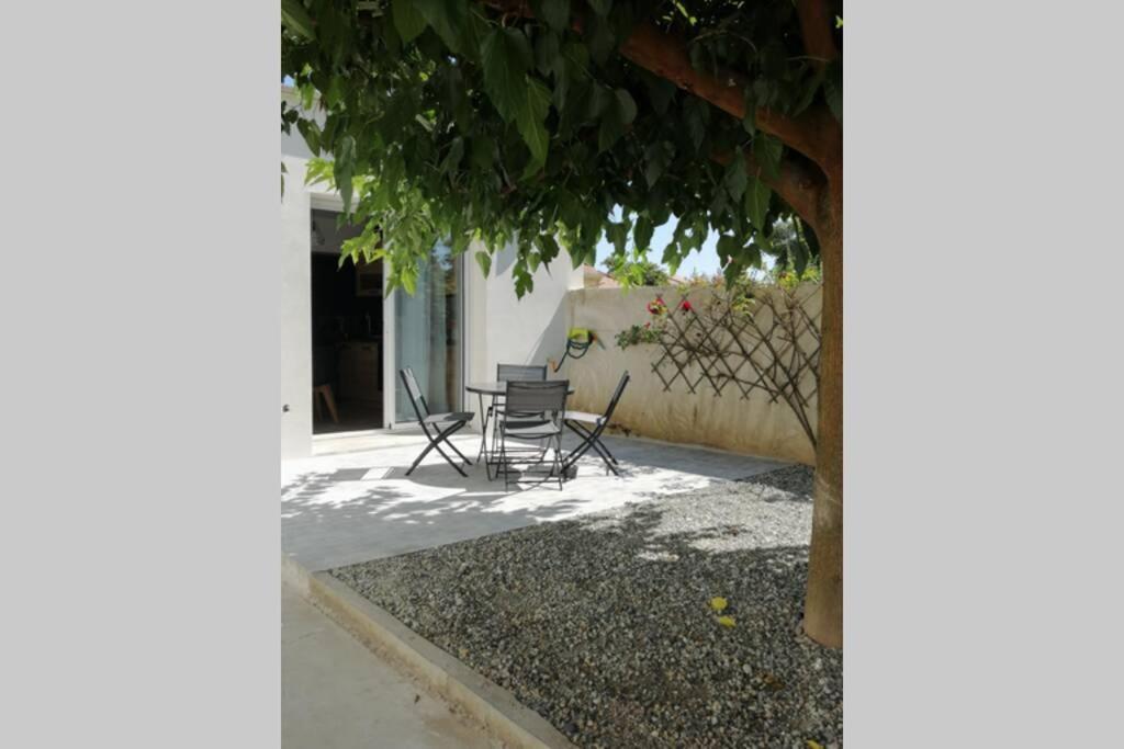 Charmant Appartement Avec Terrasse Pont-de-lʼIsère Eksteriør billede